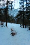 2015-02-14_Kranzberg (340)b.JPG
